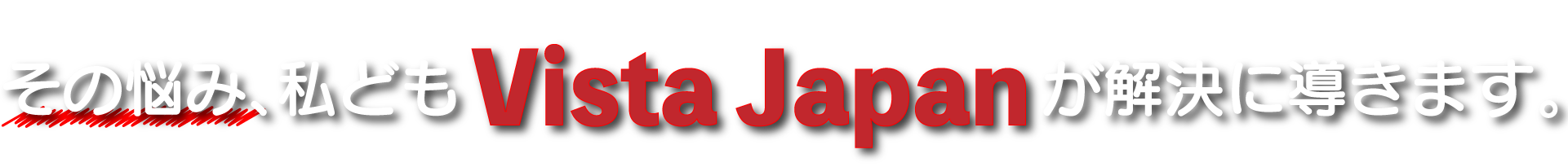 Vista Japanのサポート
